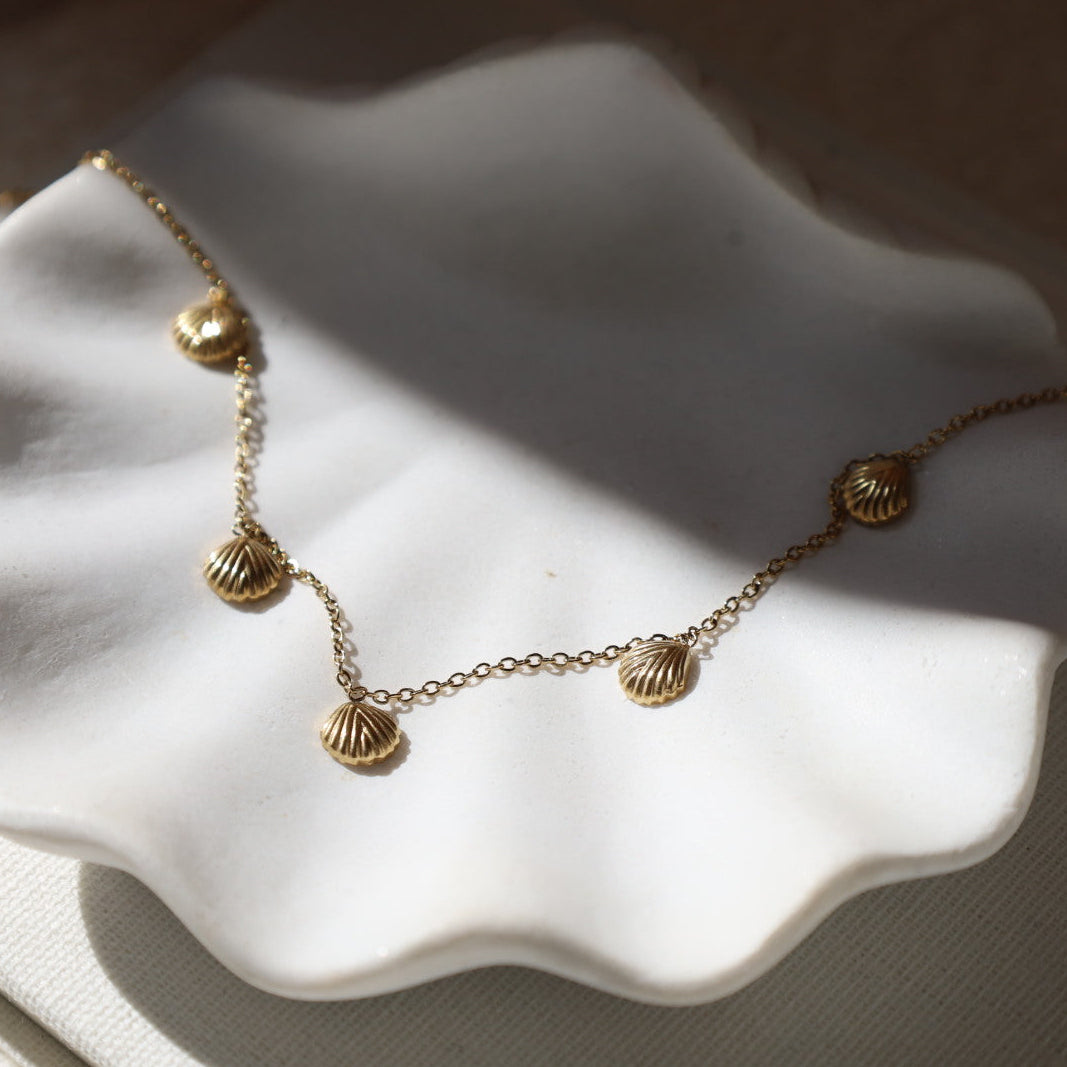Multi Shell Necklace