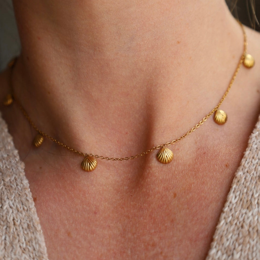 Multi Shell Necklace
