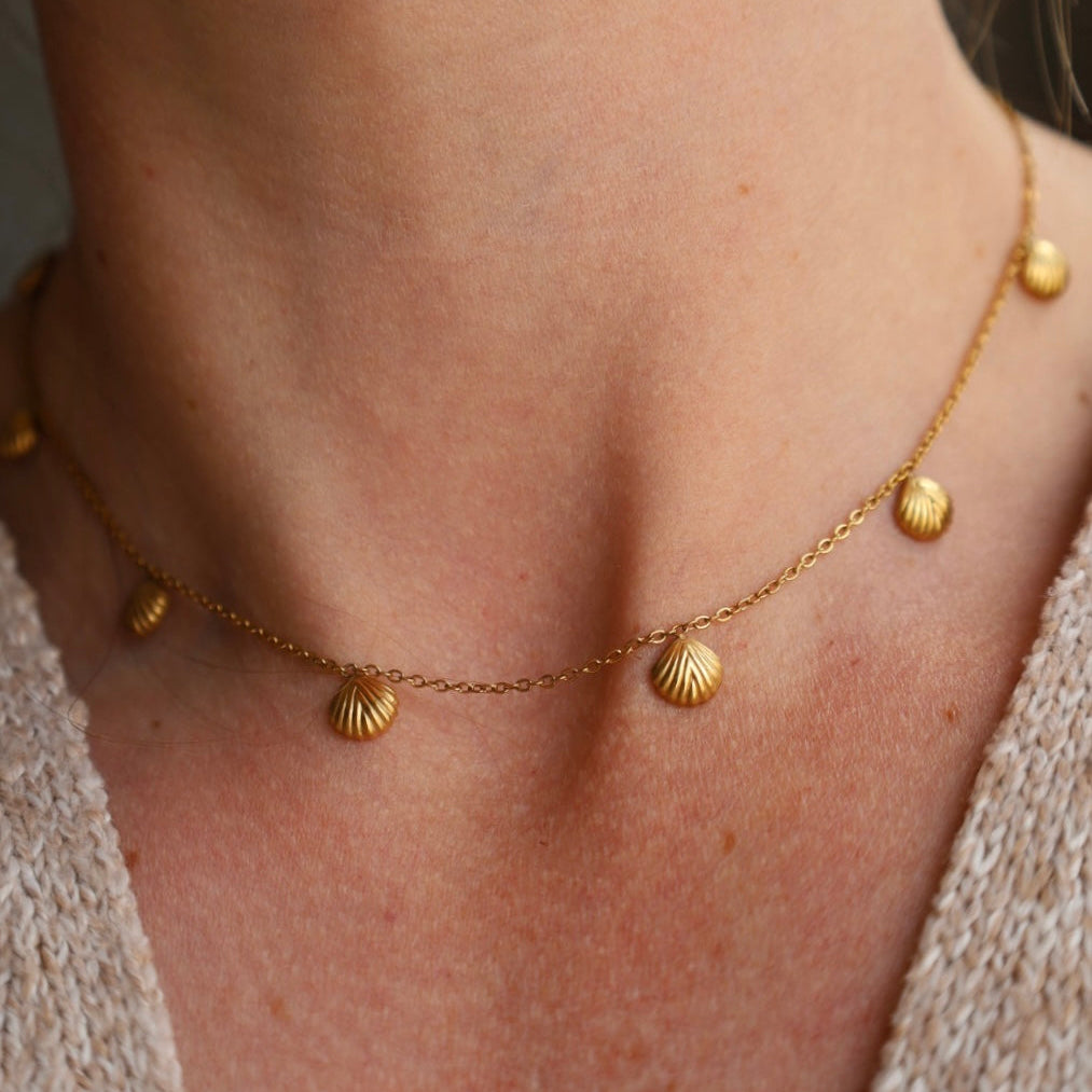 Multi Shell Necklace