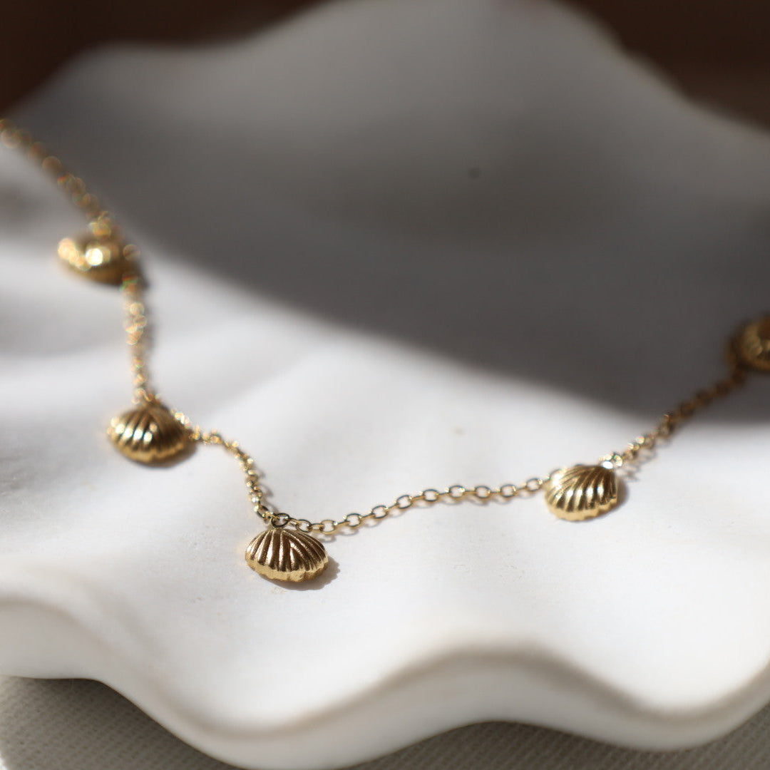 Multi Shell Necklace