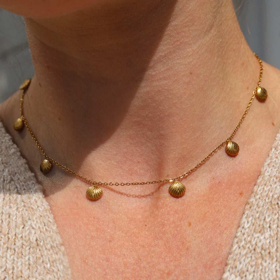 Multi Shell Necklace
