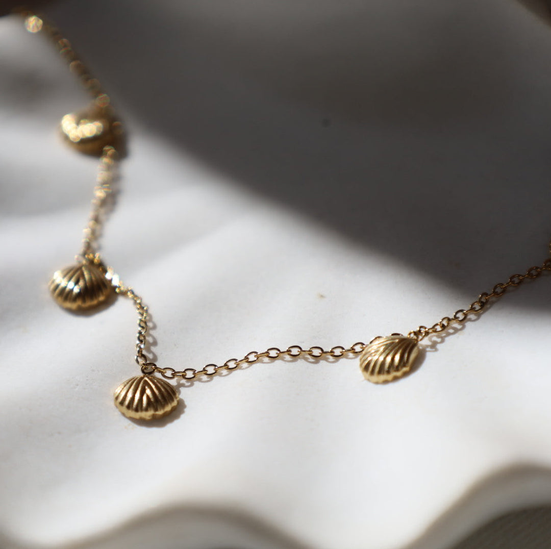 Multi Shell Necklace
