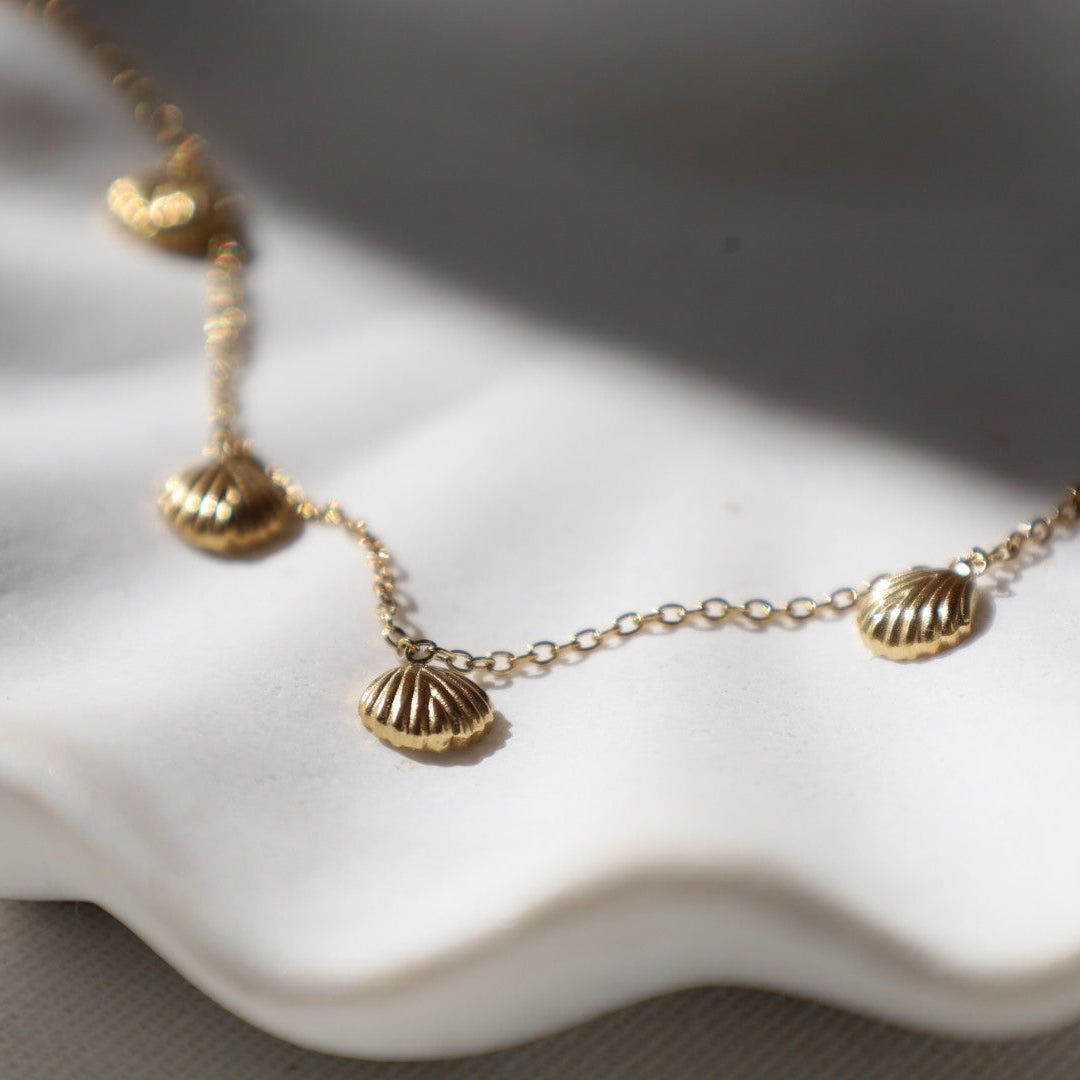Multi Shell Necklace